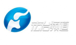 河南卫视频道,传承文化，绽放中原风采